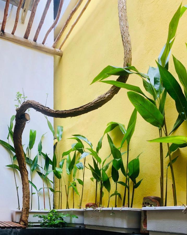 Leranda Homestay هوي المظهر الخارجي الصورة