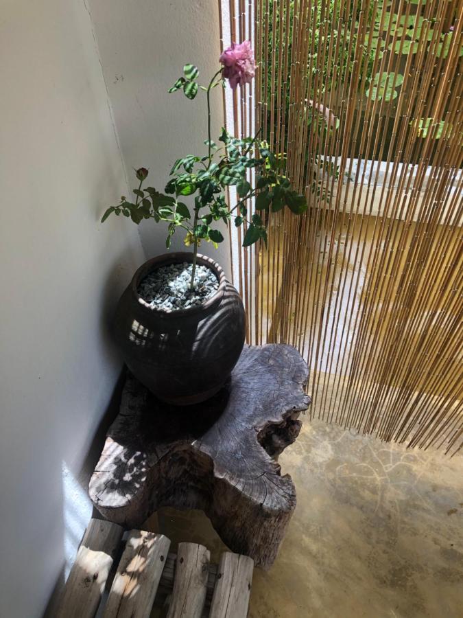 Leranda Homestay هوي المظهر الخارجي الصورة