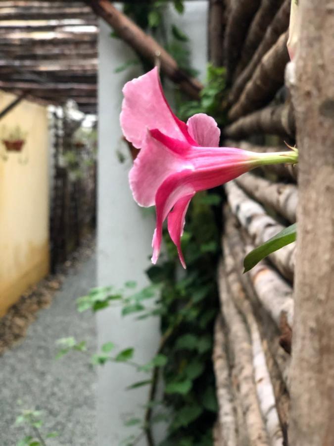 Leranda Homestay هوي المظهر الخارجي الصورة